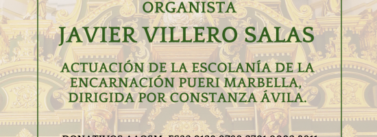 Cartel concierto verano 26 de junio de 2025 (Tu historia) (1)
